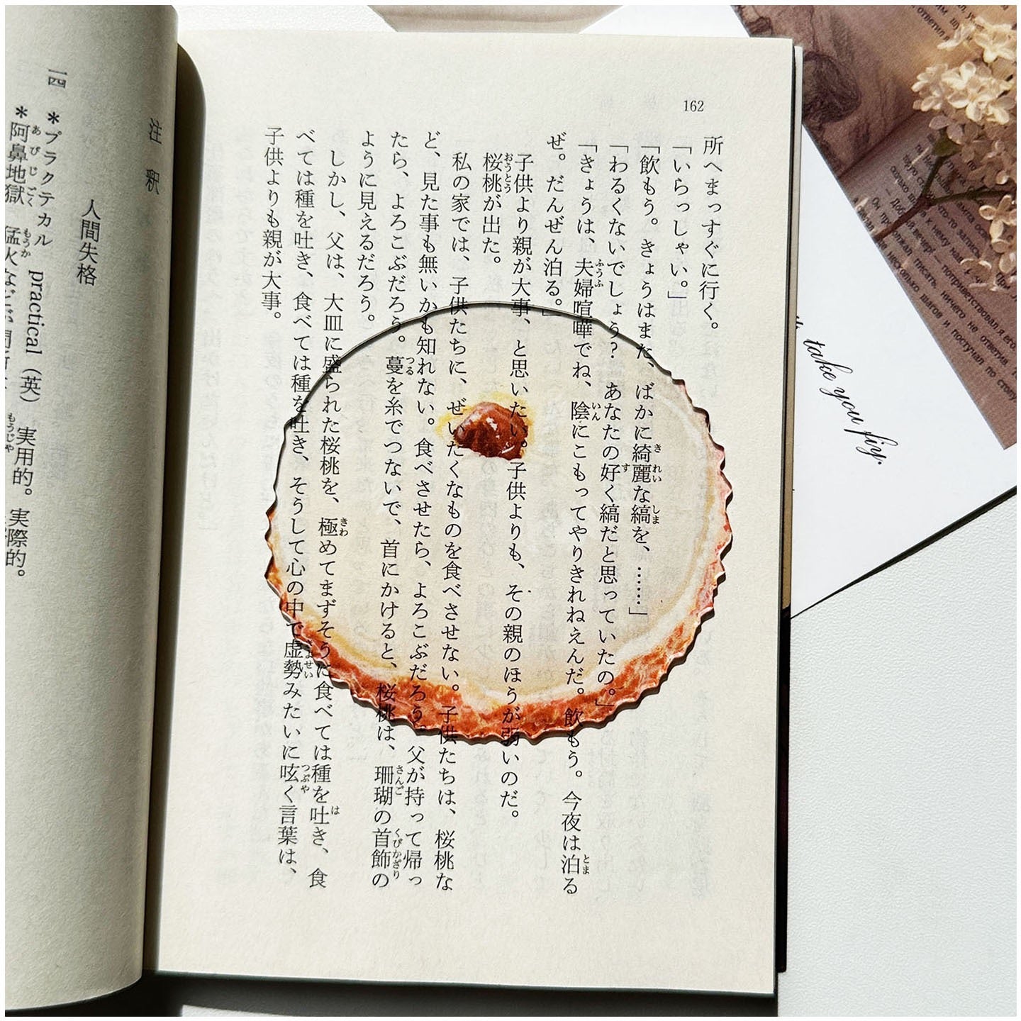 Lychee-shaped transparent bookmark placed inside an open book.