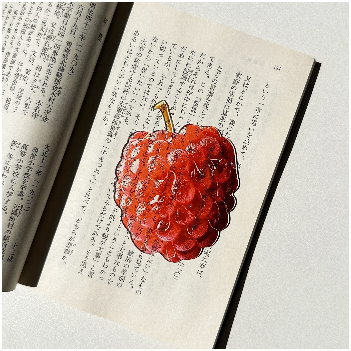 Raspberry-shaped transparent bookmark placed inside an open book.