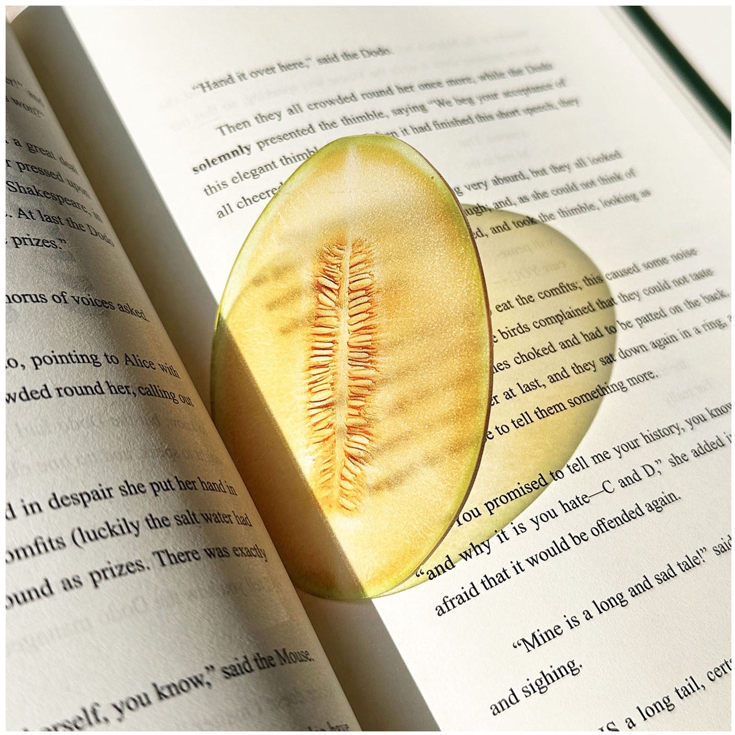 Cantaloupe-shaped transparent bookmark placed inside an open book.
