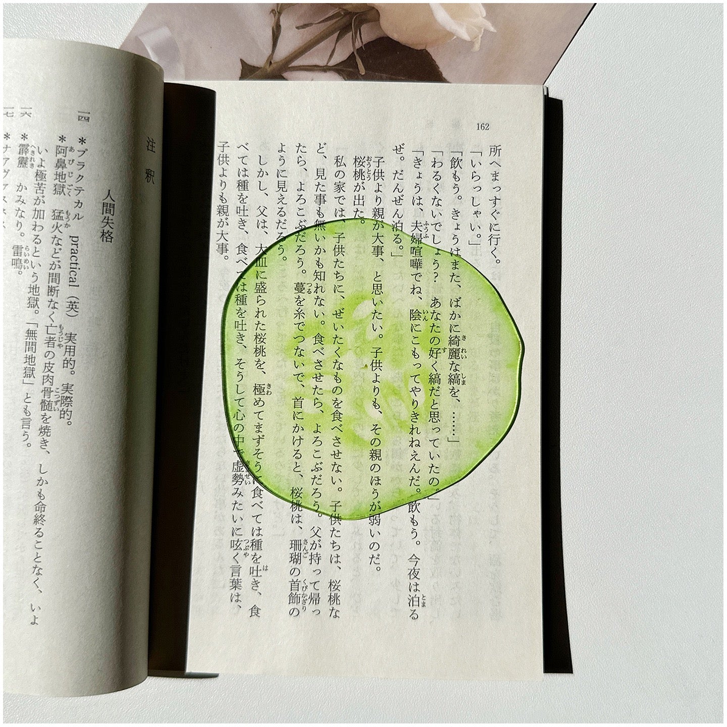 Cucumber-shaped transparent bookmark placed inside an open book.