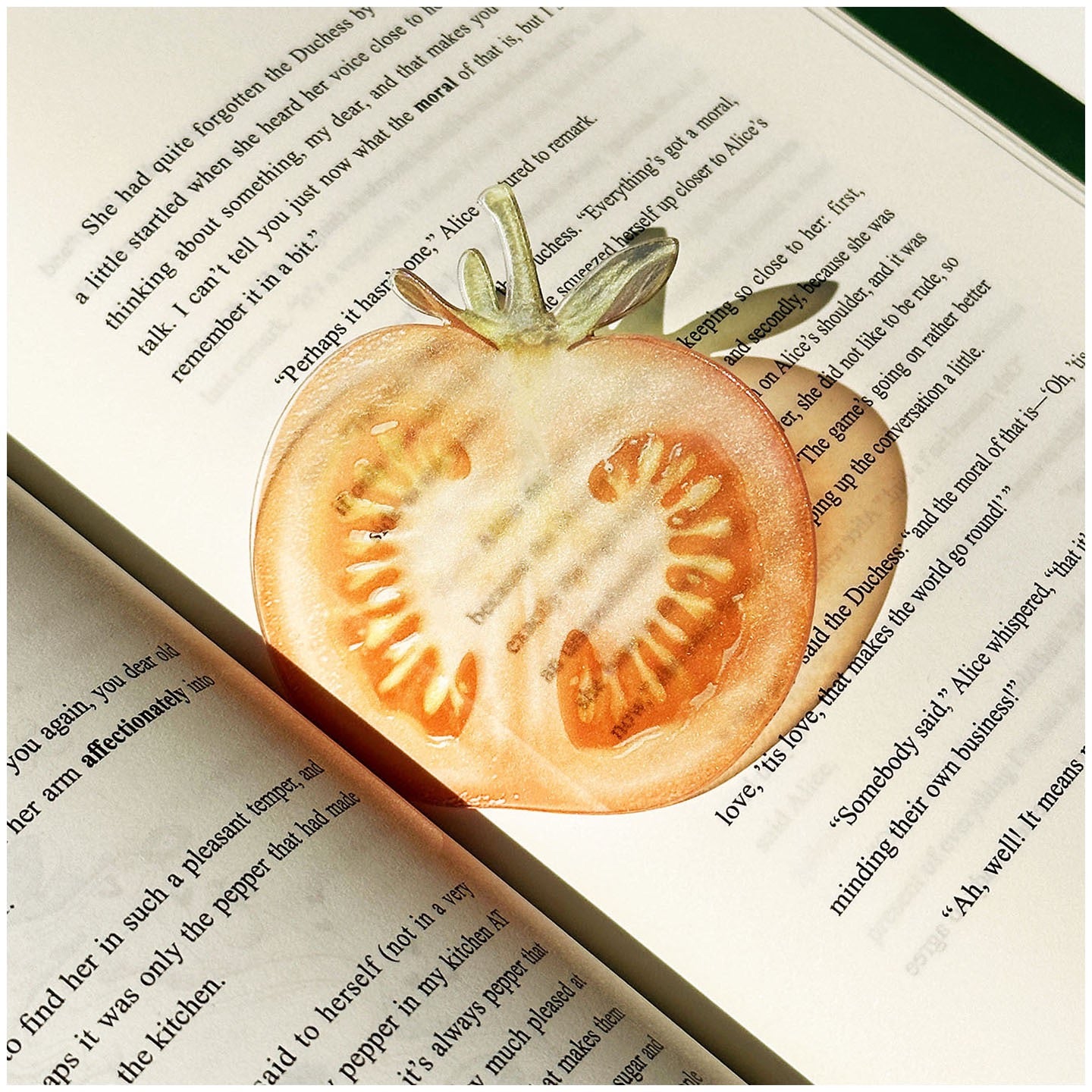 Tomato-shaped transparent bookmark placed inside an open book.